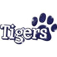 GLT17   BLUE GLITTER Thumbnail